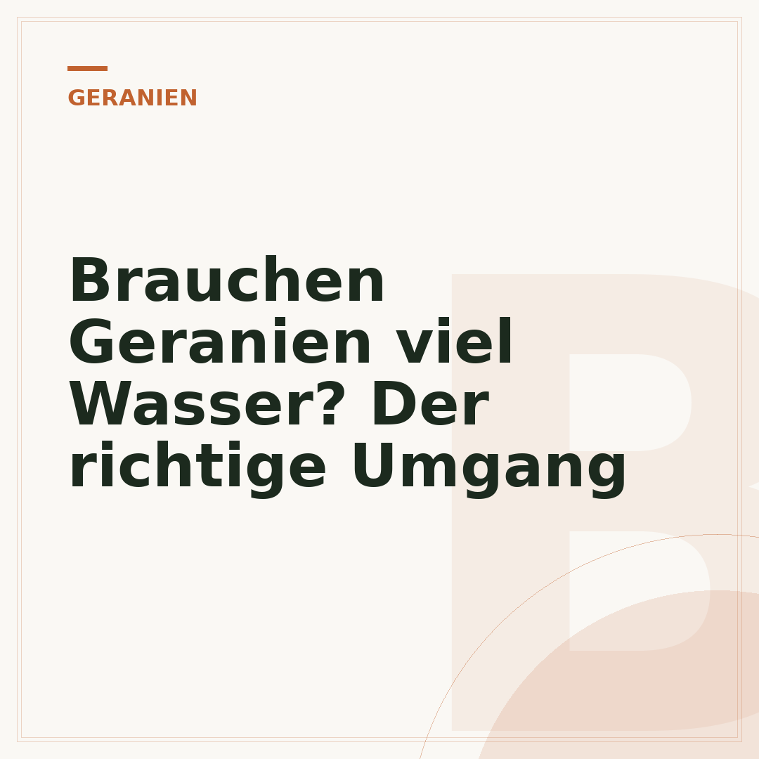 Brauchen Geranien viel Wasser? Der richtige Umgang