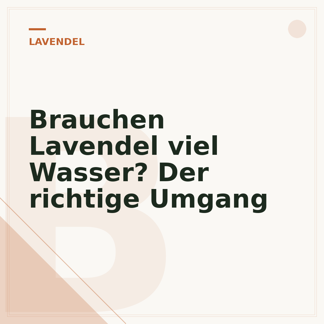 Brauchen Lavendel viel Wasser? Der richtige Umgang