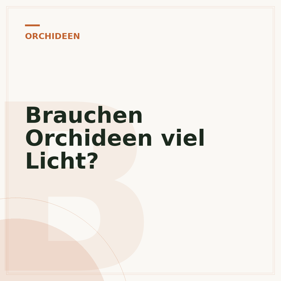 Brauchen Orchideen viel Licht?