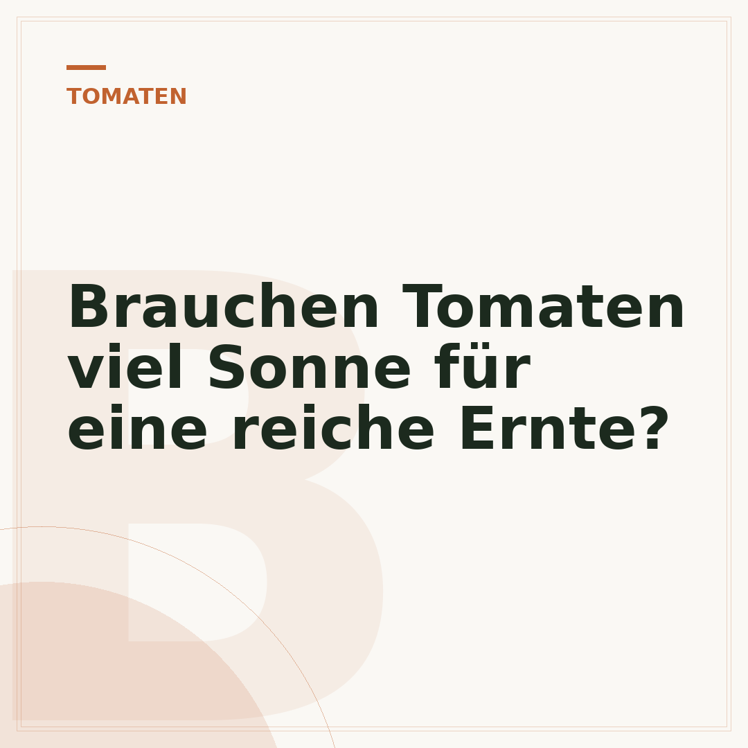 Brauchen Tomaten viel Sonne für eine reiche Ernte?