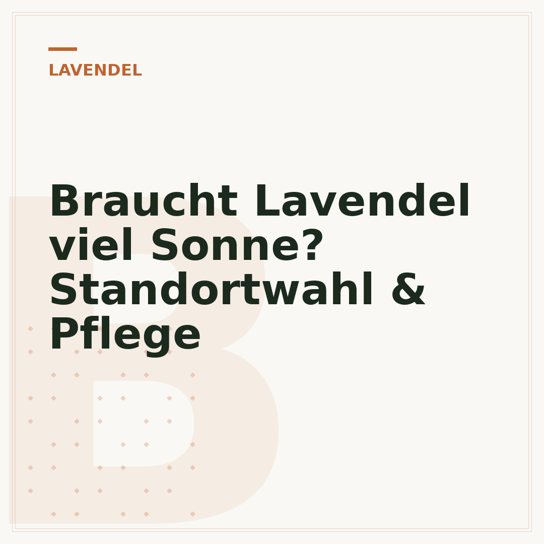 Braucht Lavendel viel Sonne? Standortwahl & Pflege
