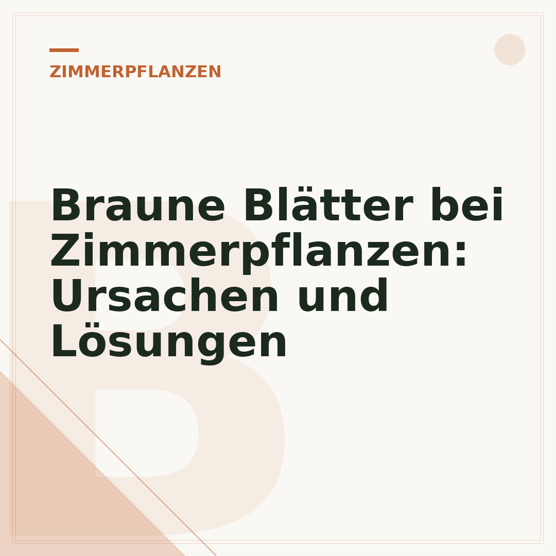 Braune Blätter bei Zimmerpflanzen: Ursachen und Lösungen