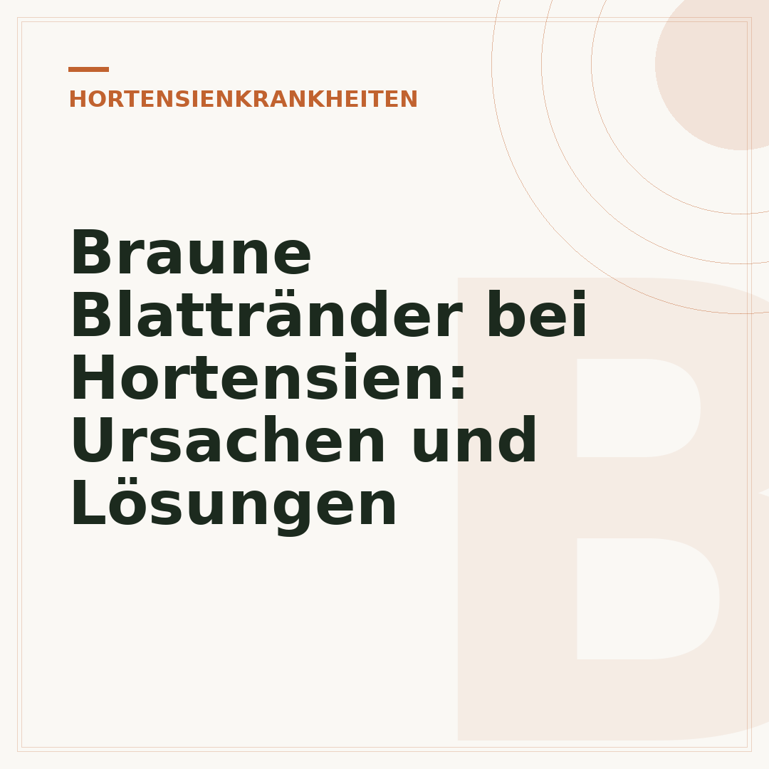 Braune Blattränder bei Hortensien: Ursachen und Lösungen