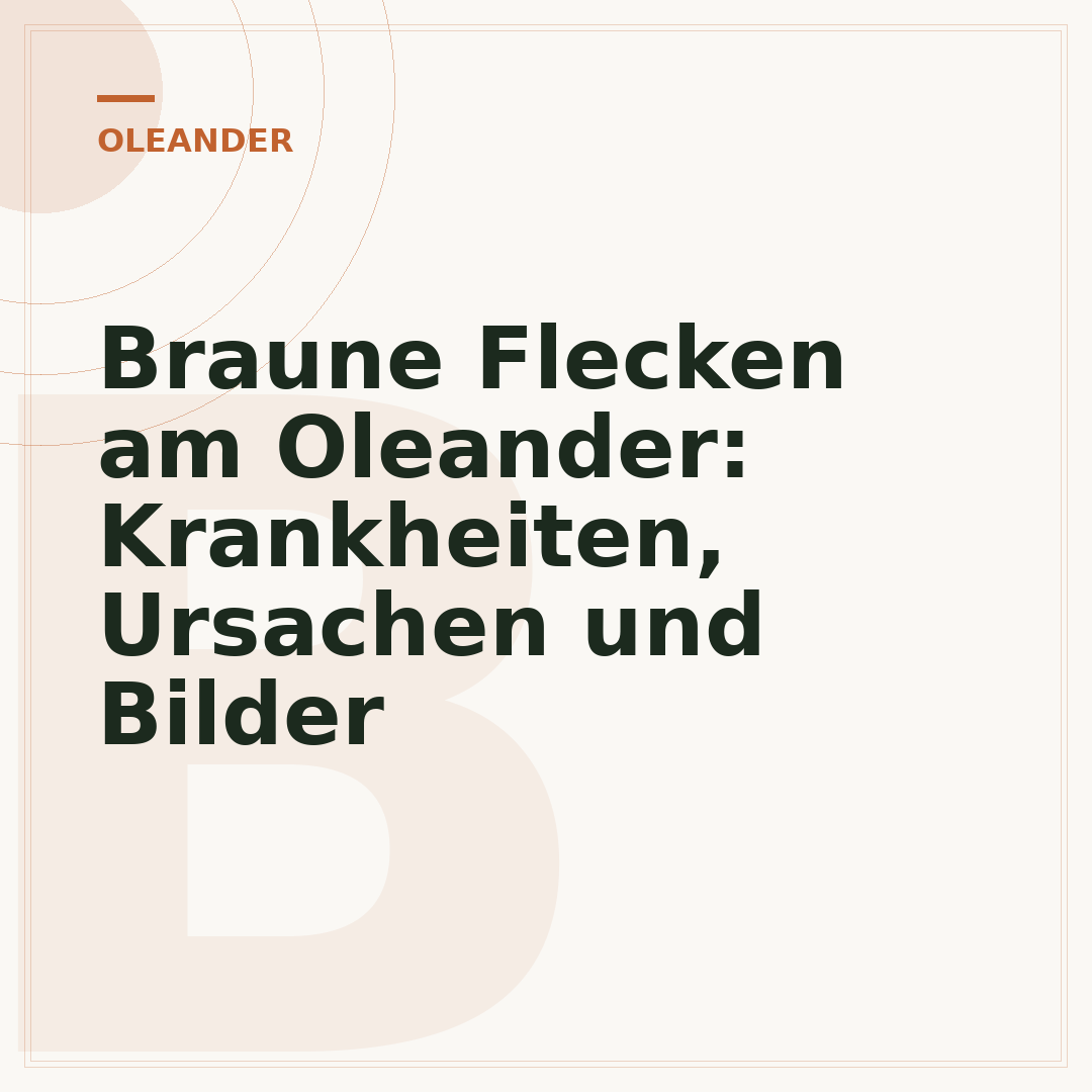 Braune Flecken am Oleander: Krankheiten, Ursachen und Bilder