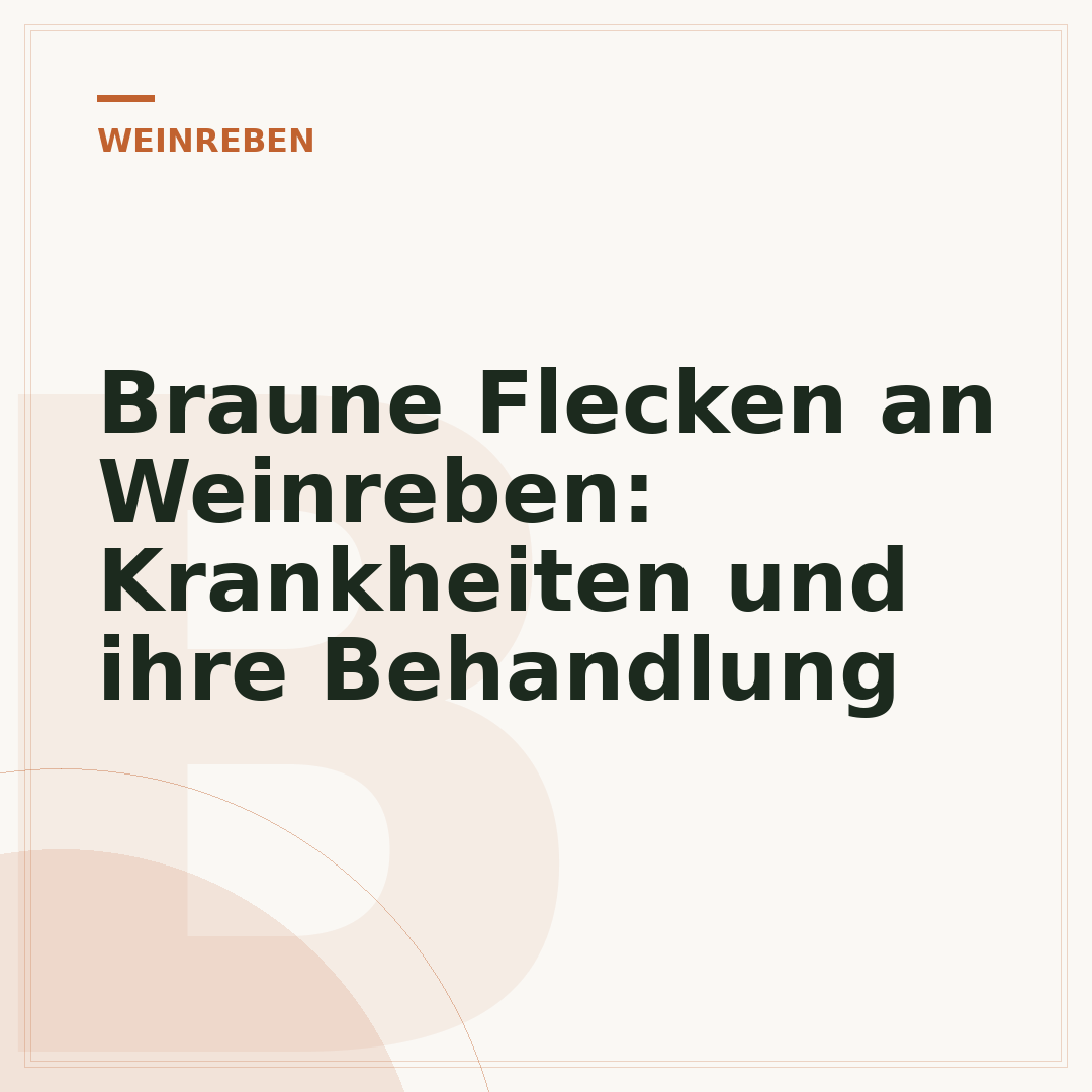 Braune Flecken an Weinreben: Krankheiten und ihre Behandlung