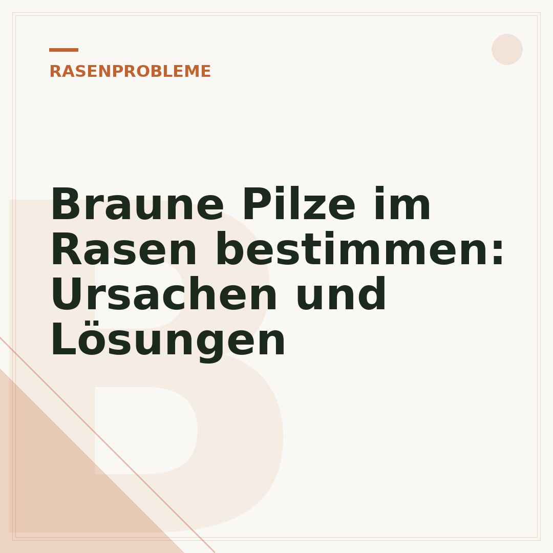 Braune Pilze im Rasen bestimmen: Ursachen und Lösungen