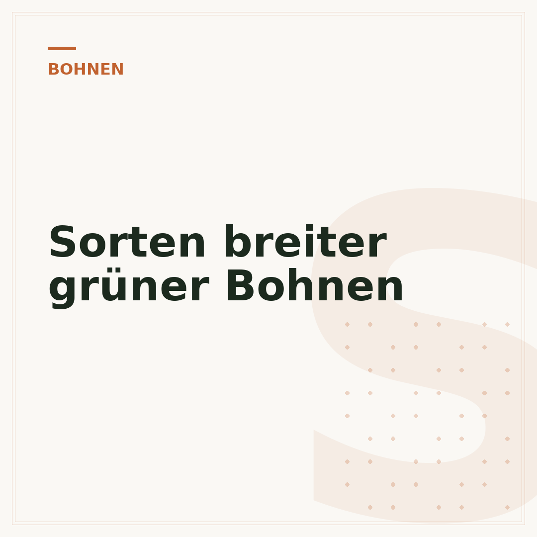 Sorten breiter grüner Bohnen