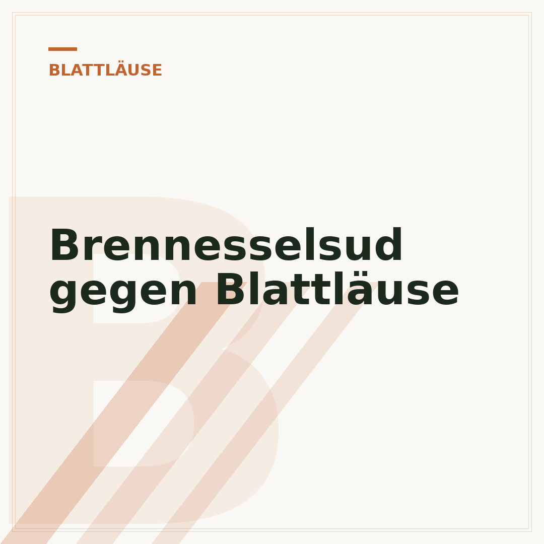 Brennesselsud gegen Blattläuse