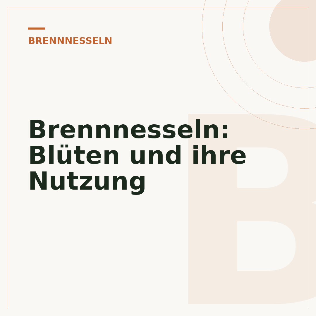 Brennnesseln: Blüten und ihre Nutzung