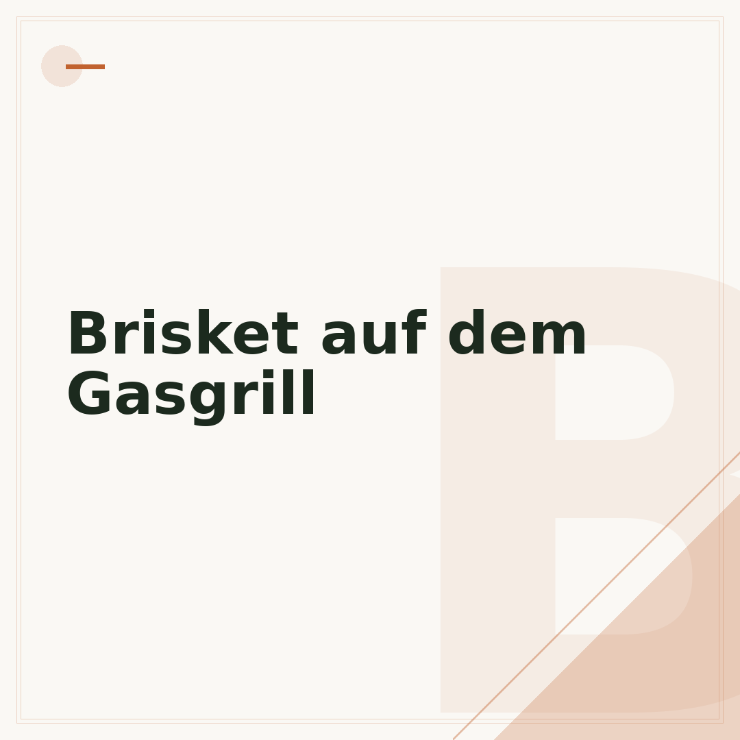 Brisket auf dem Gasgrill