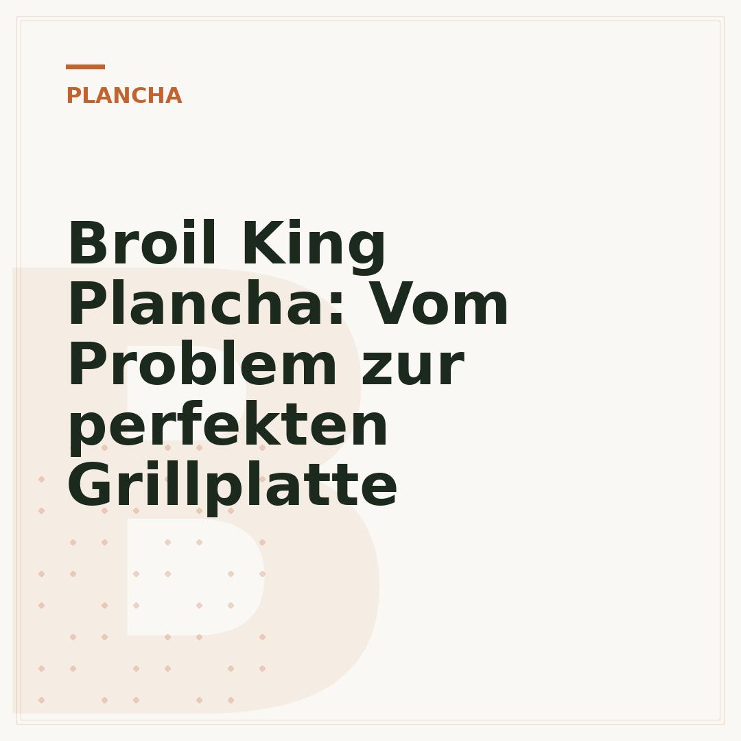 Broil King Plancha: Vom Problem zur perfekten Grillplatte
