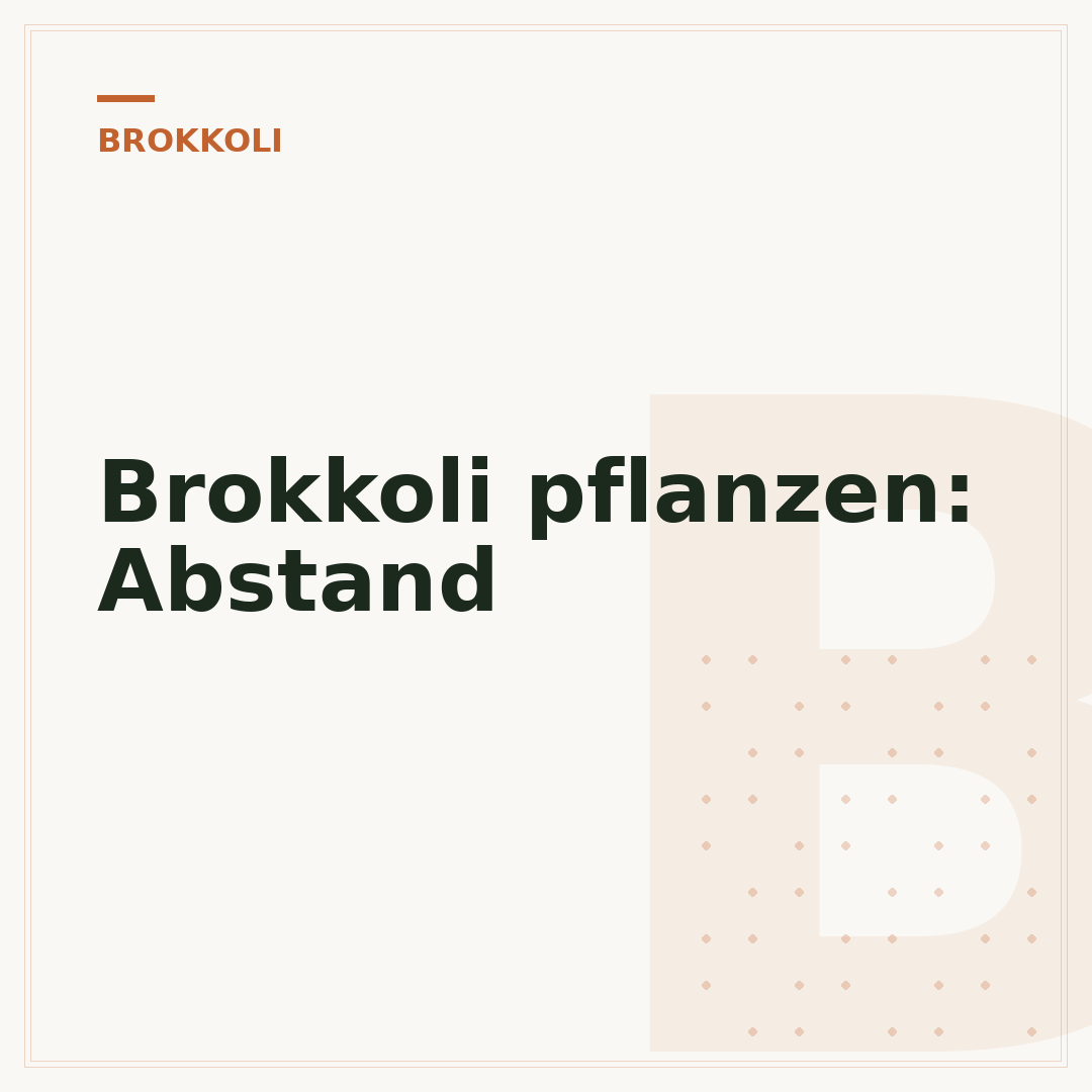 Brokkoli pflanzen: Abstand