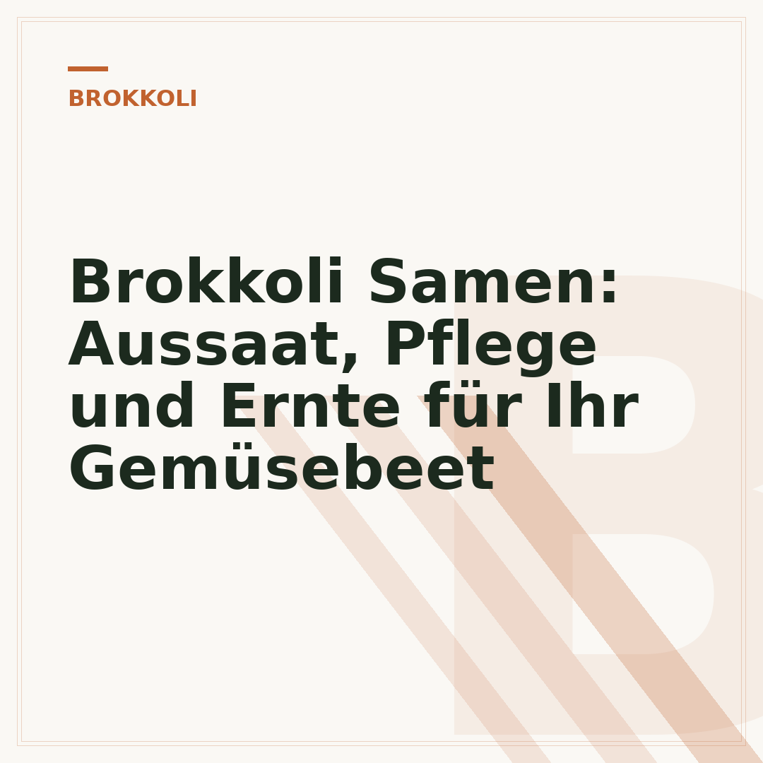 Brokkoli Samen: Aussaat, Pflege und Ernte für Ihr Gemüsebeet