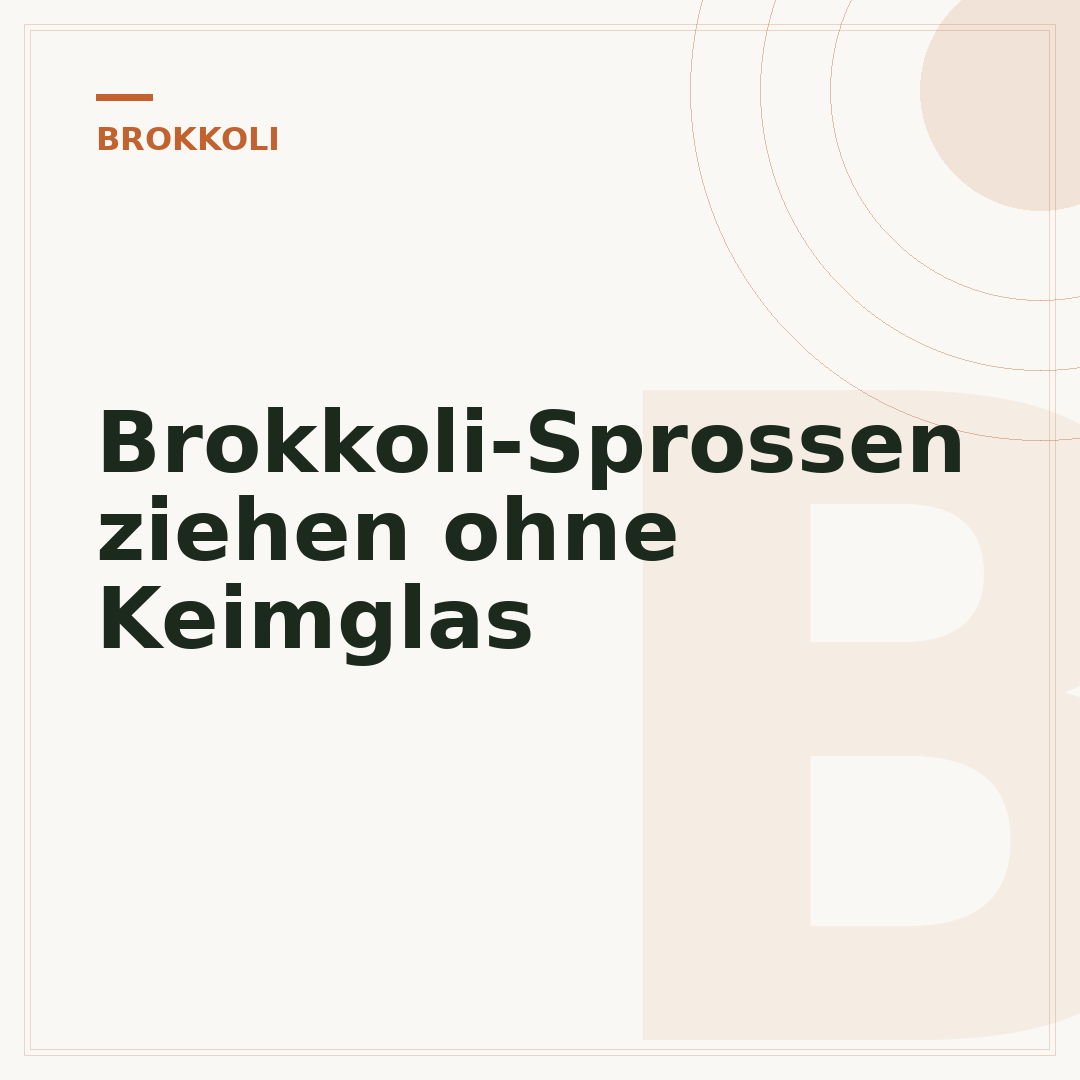 Brokkoli-Sprossen ziehen ohne Keimglas