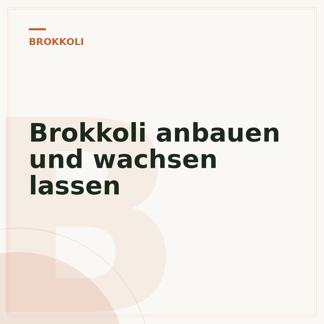 Brokkoli anbauen und wachsen lassen