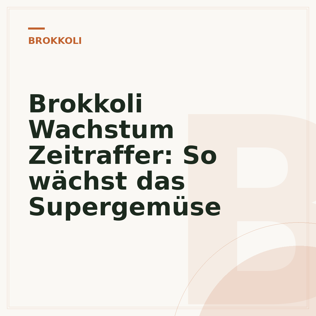 Brokkoli Wachstum Zeitraffer: So wächst das Supergemüse