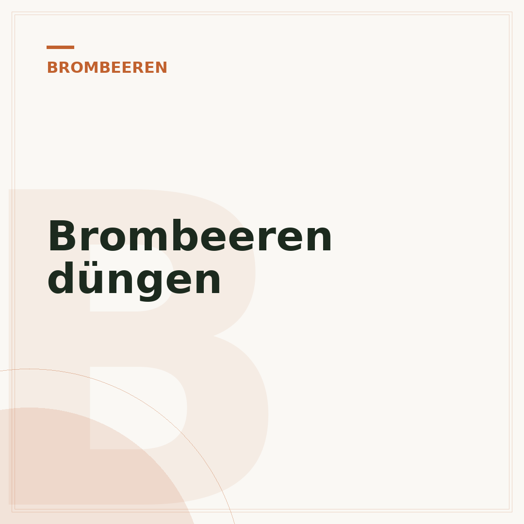 Brombeeren düngen