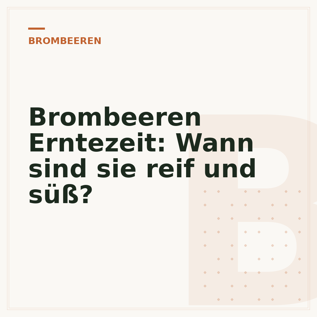Brombeeren Erntezeit: Wann sind sie reif und süß?