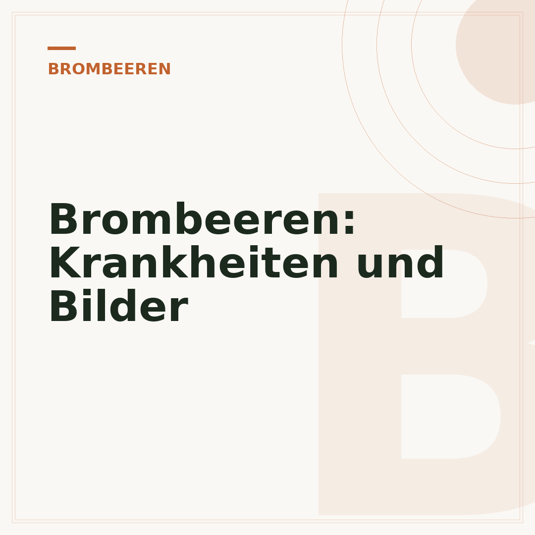 Brombeeren: Krankheiten und Bilder
