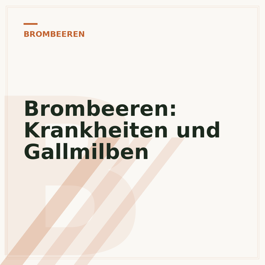 Brombeeren: Krankheiten und Gallmilben