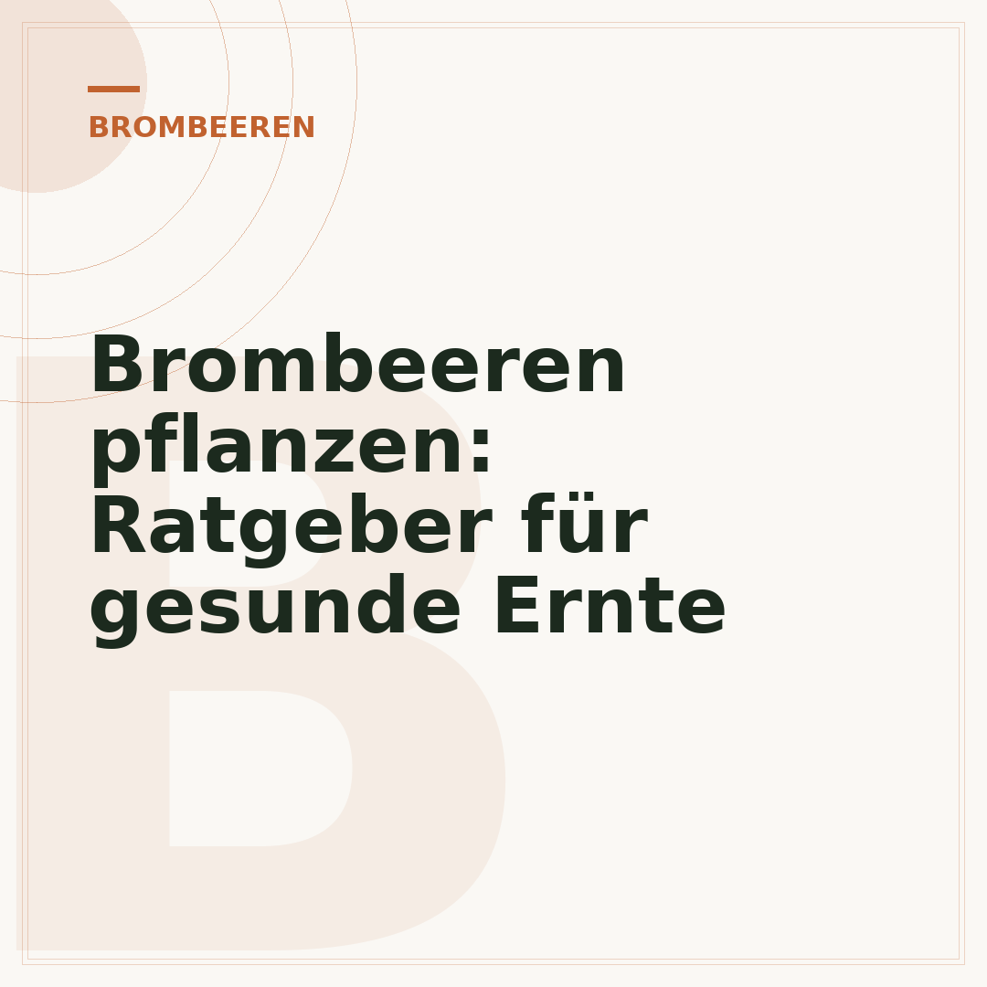 Brombeeren pflanzen: Ratgeber für gesunde Ernte