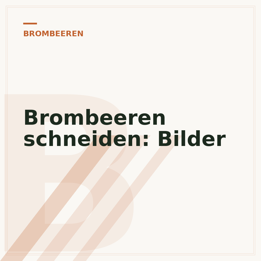 Brombeeren schneiden: Bilder