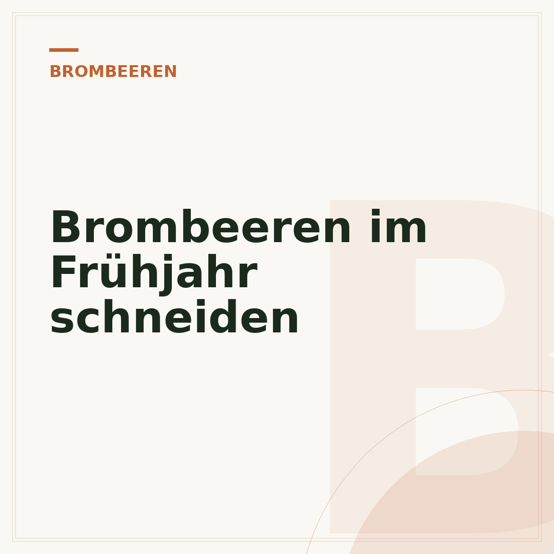 Brombeeren im Frühjahr schneiden