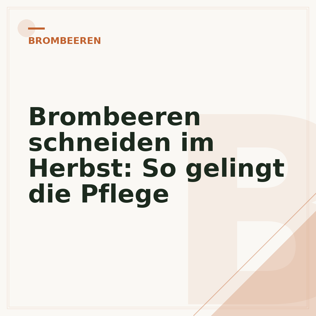 Brombeeren schneiden im Herbst: So gelingt die Pflege