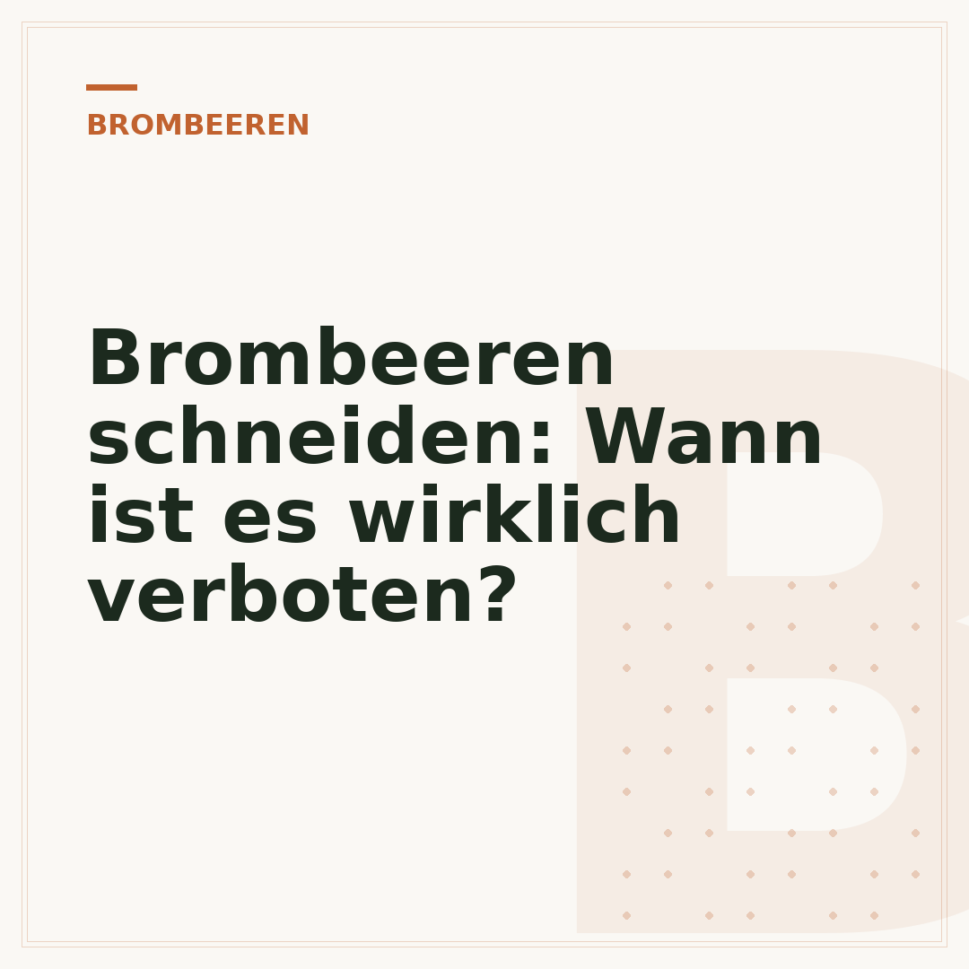 Brombeeren schneiden: Wann ist es wirklich verboten?