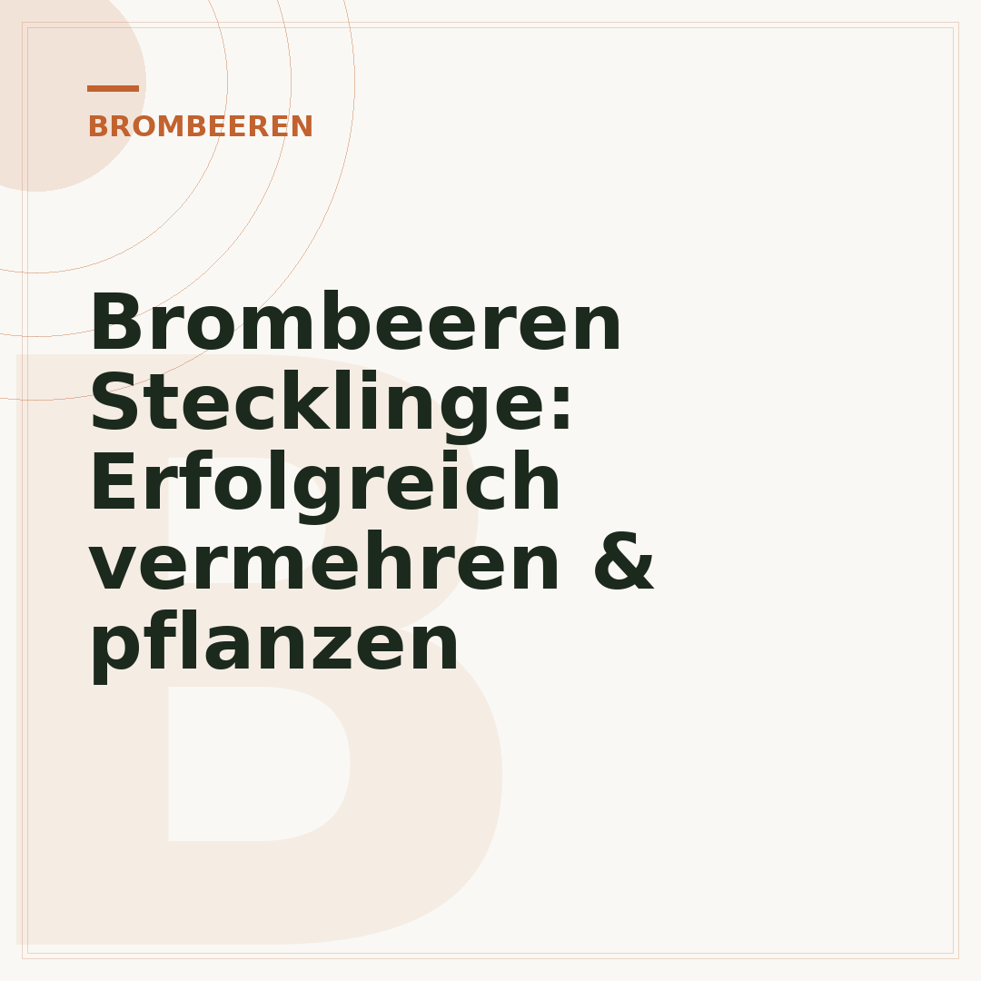 Brombeeren Stecklinge: Erfolgreich vermehren & pflanzen