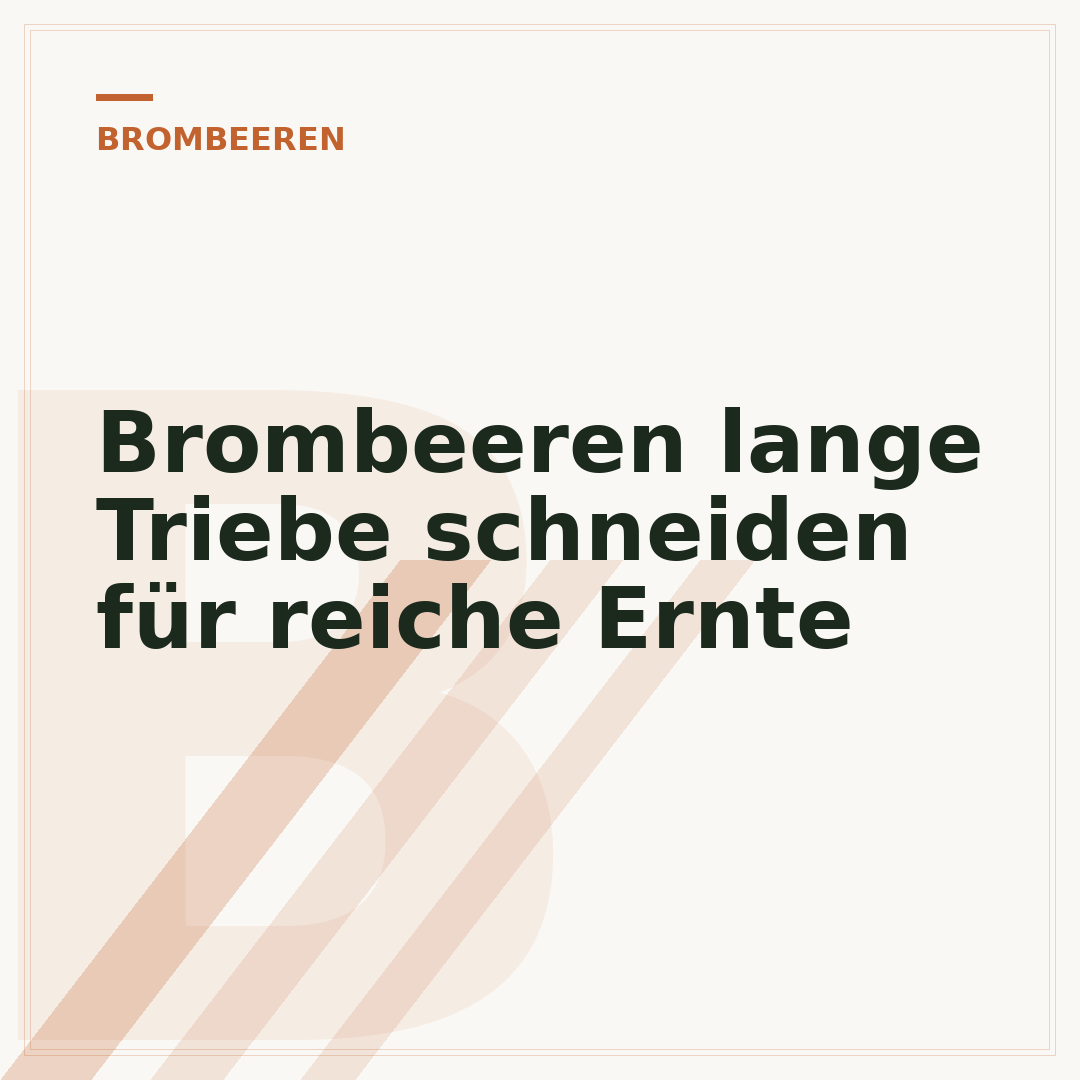Brombeeren lange Triebe schneiden für reiche Ernte