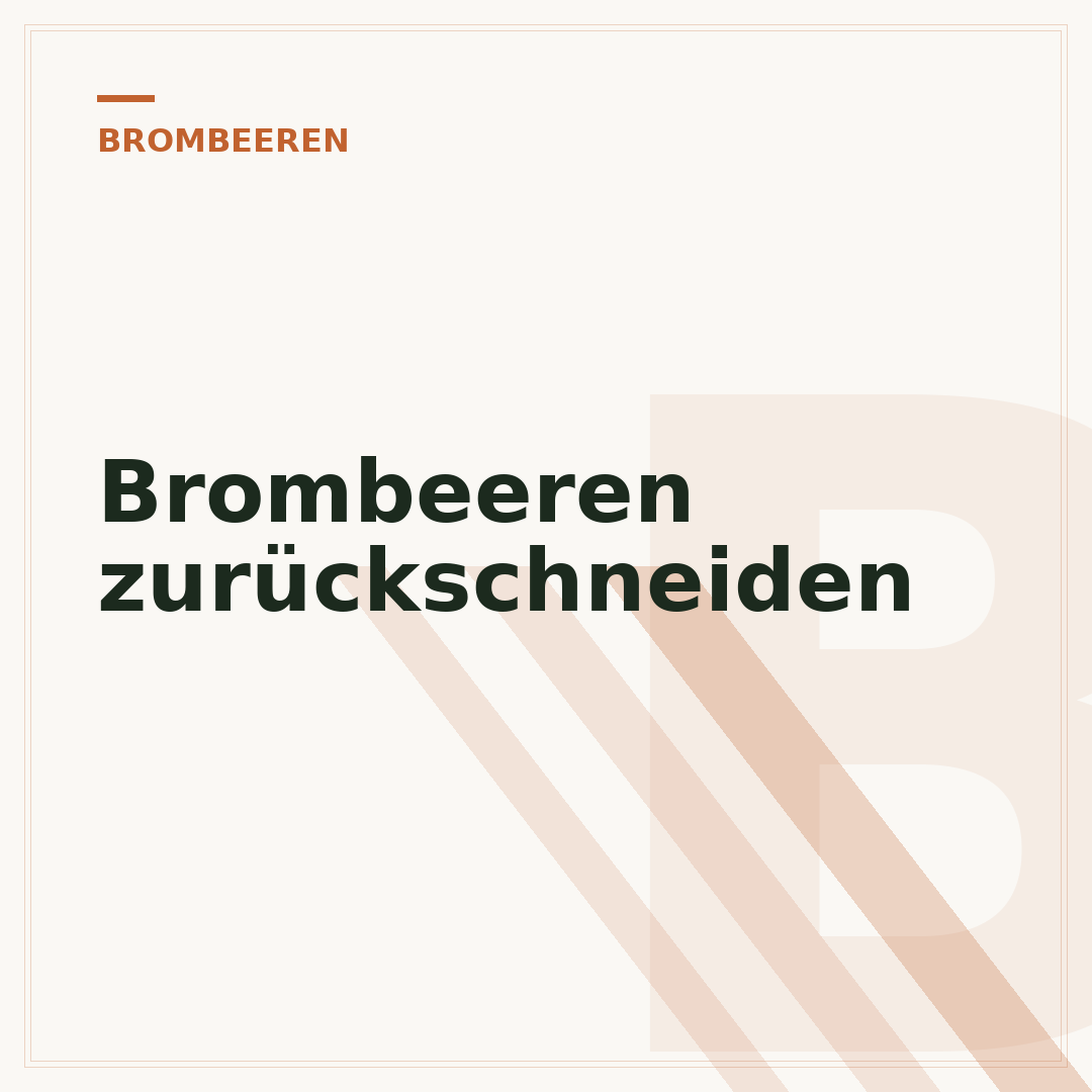 Brombeeren zurückschneiden