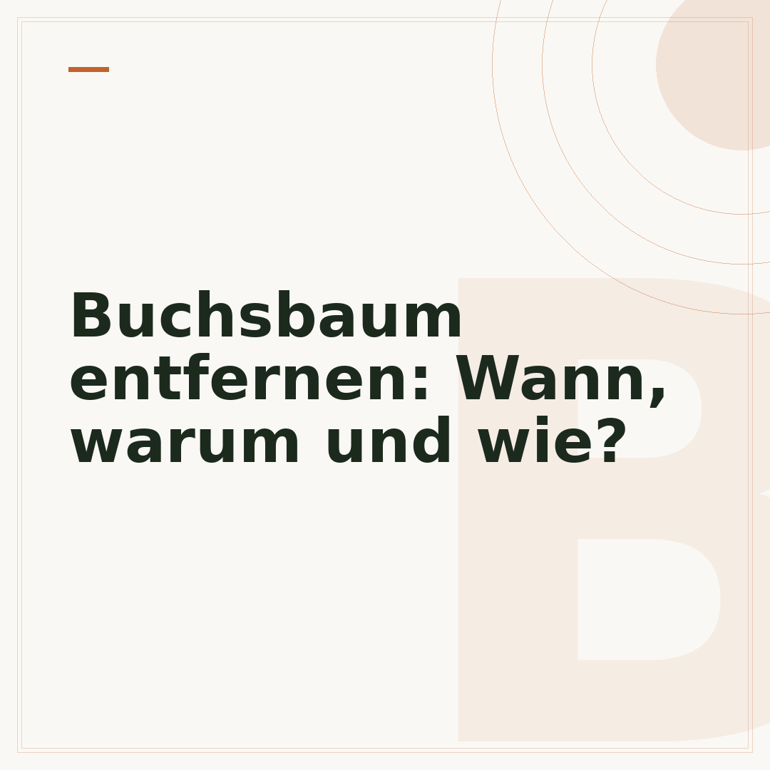 Buchsbaum entfernen: Wann, warum und wie?