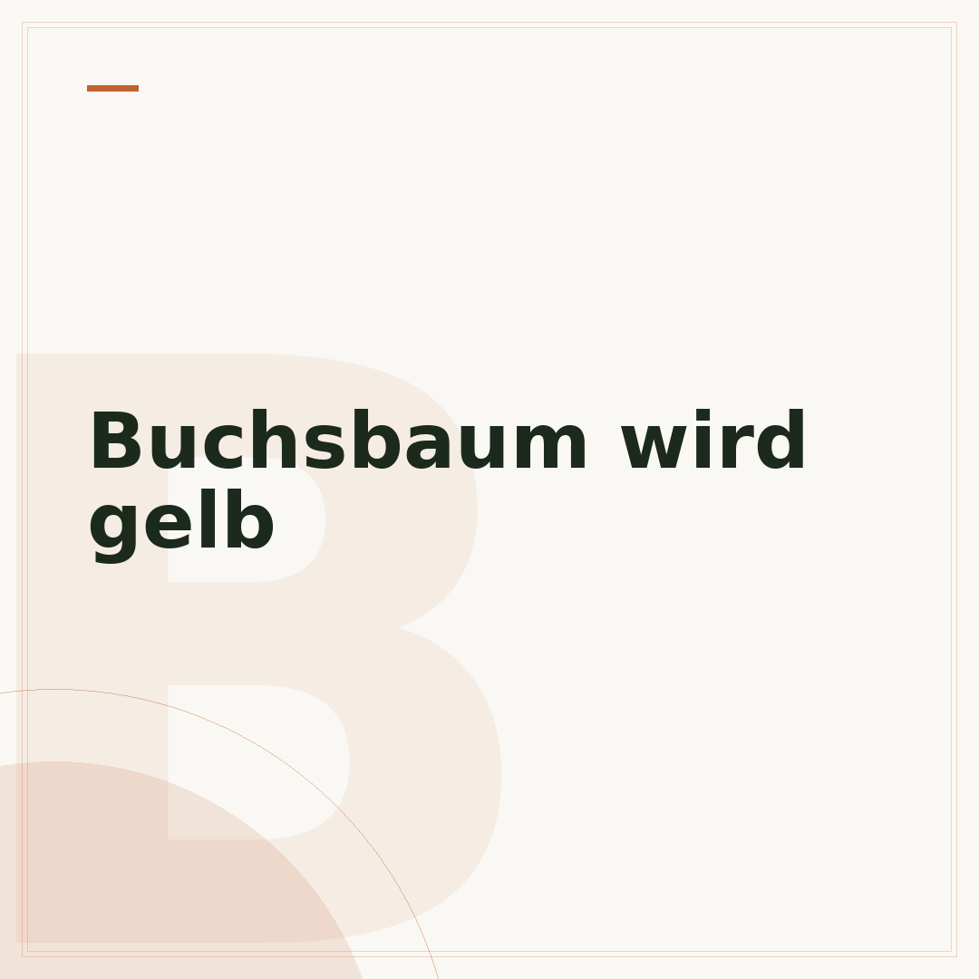 Buchsbaum wird gelb