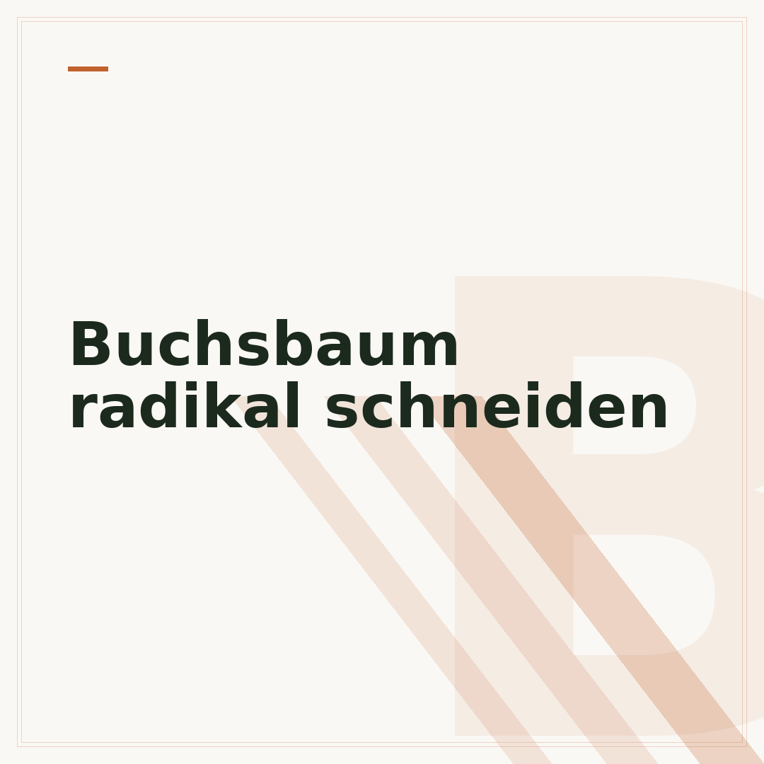 Buchsbaum radikal schneiden