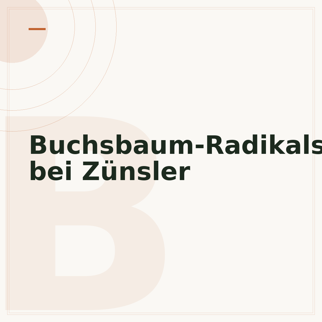 Buchsbaum-Radikalschnitt bei Zünsler