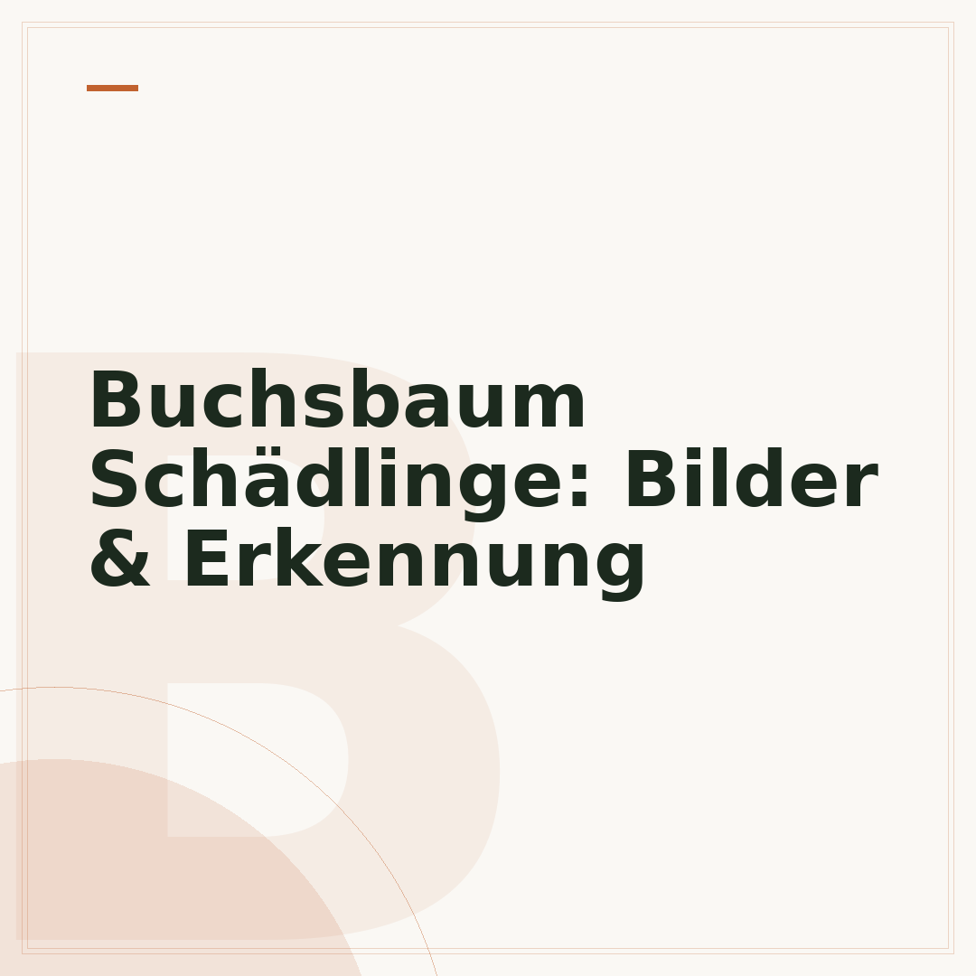 Buchsbaum Schädlinge: Bilder & Erkennung