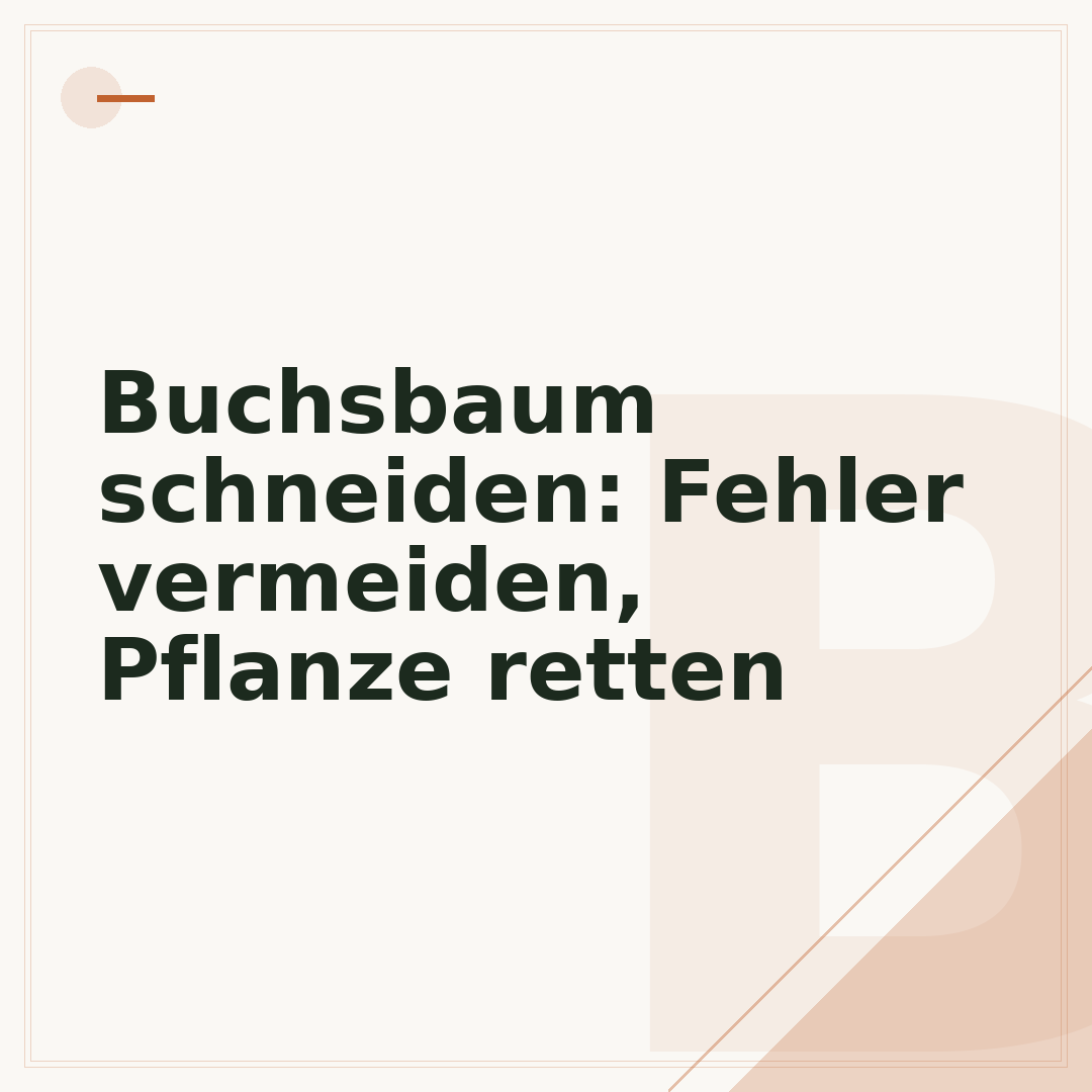 Buchsbaum schneiden: Fehler vermeiden, Pflanze retten