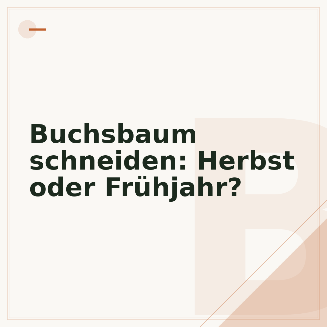 Buchsbaum schneiden: Herbst oder Frühjahr?