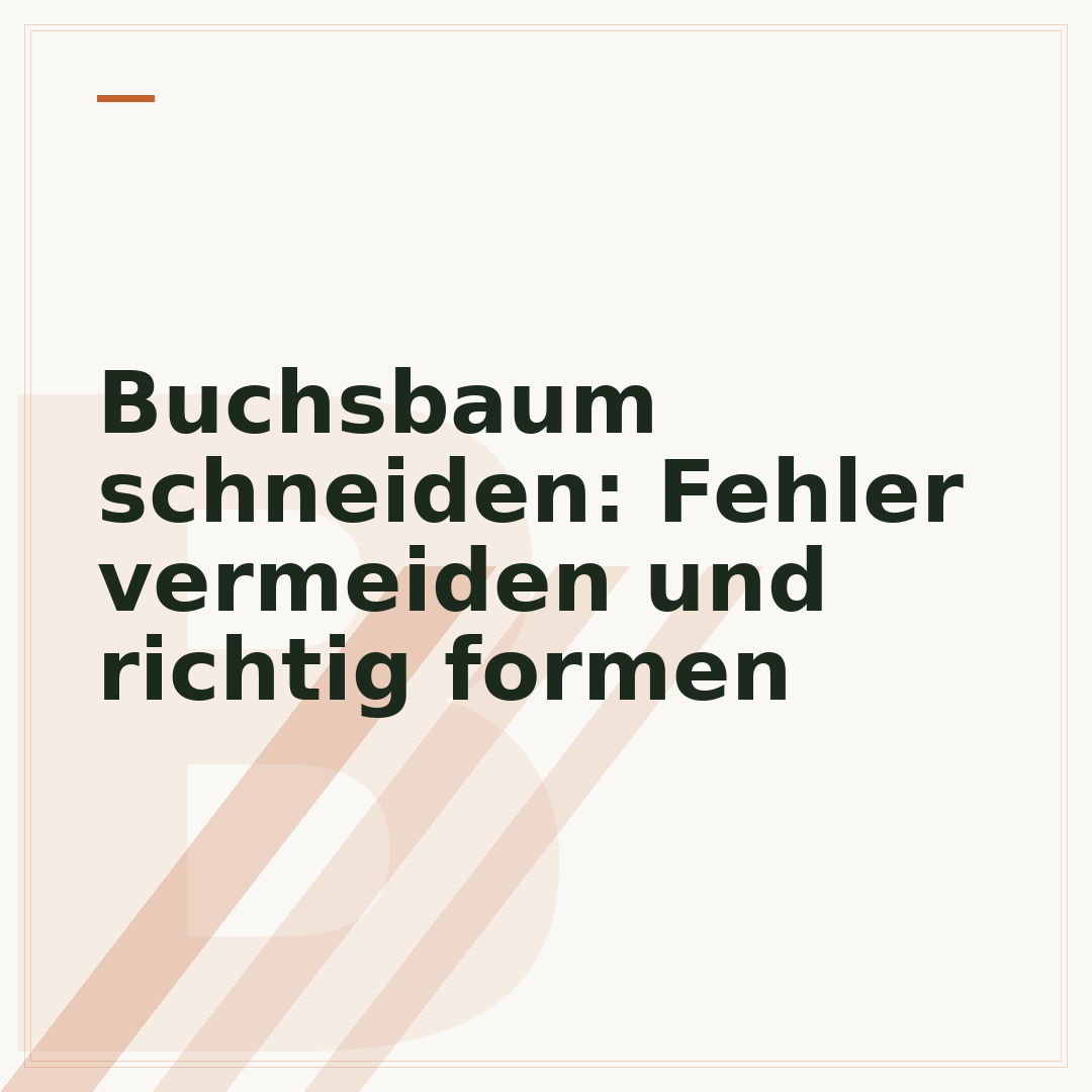 Buchsbaum schneiden: Fehler vermeiden und richtig formen