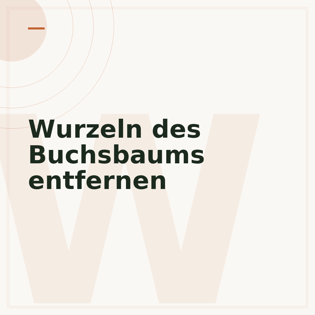 Wurzeln des Buchsbaums entfernen