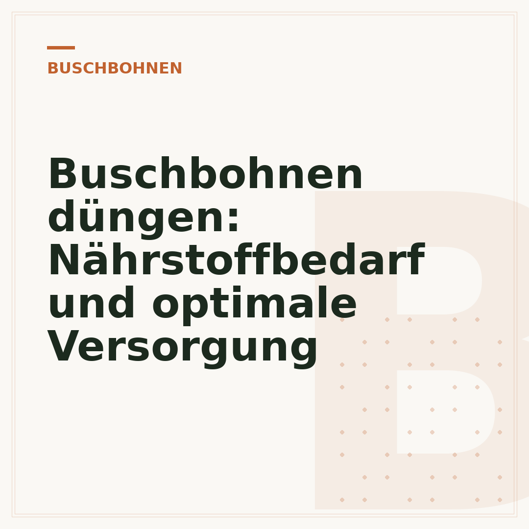 Buschbohnen düngen: Nährstoffbedarf und optimale Versorgung