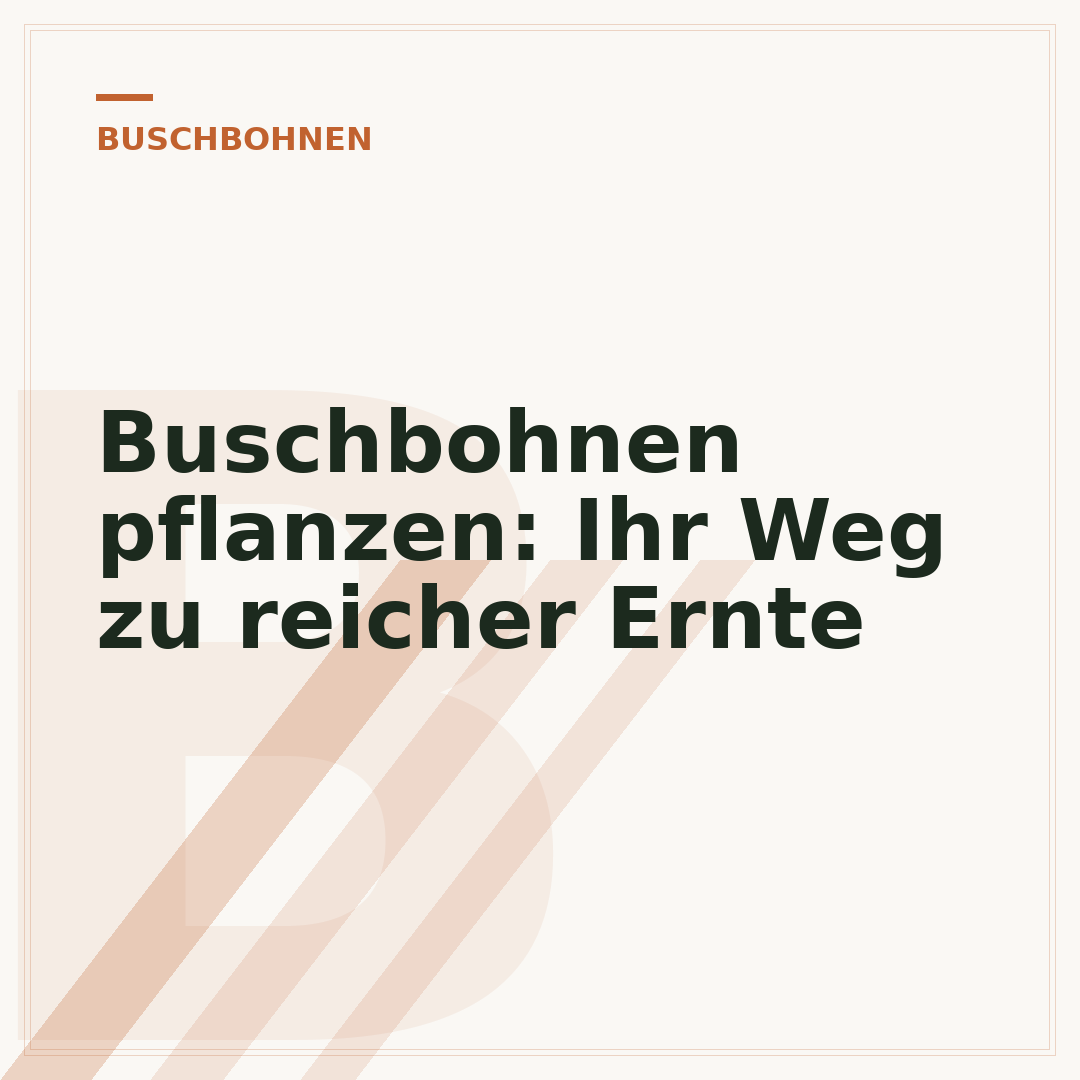 Buschbohnen pflanzen: Ihr Weg zu reicher Ernte