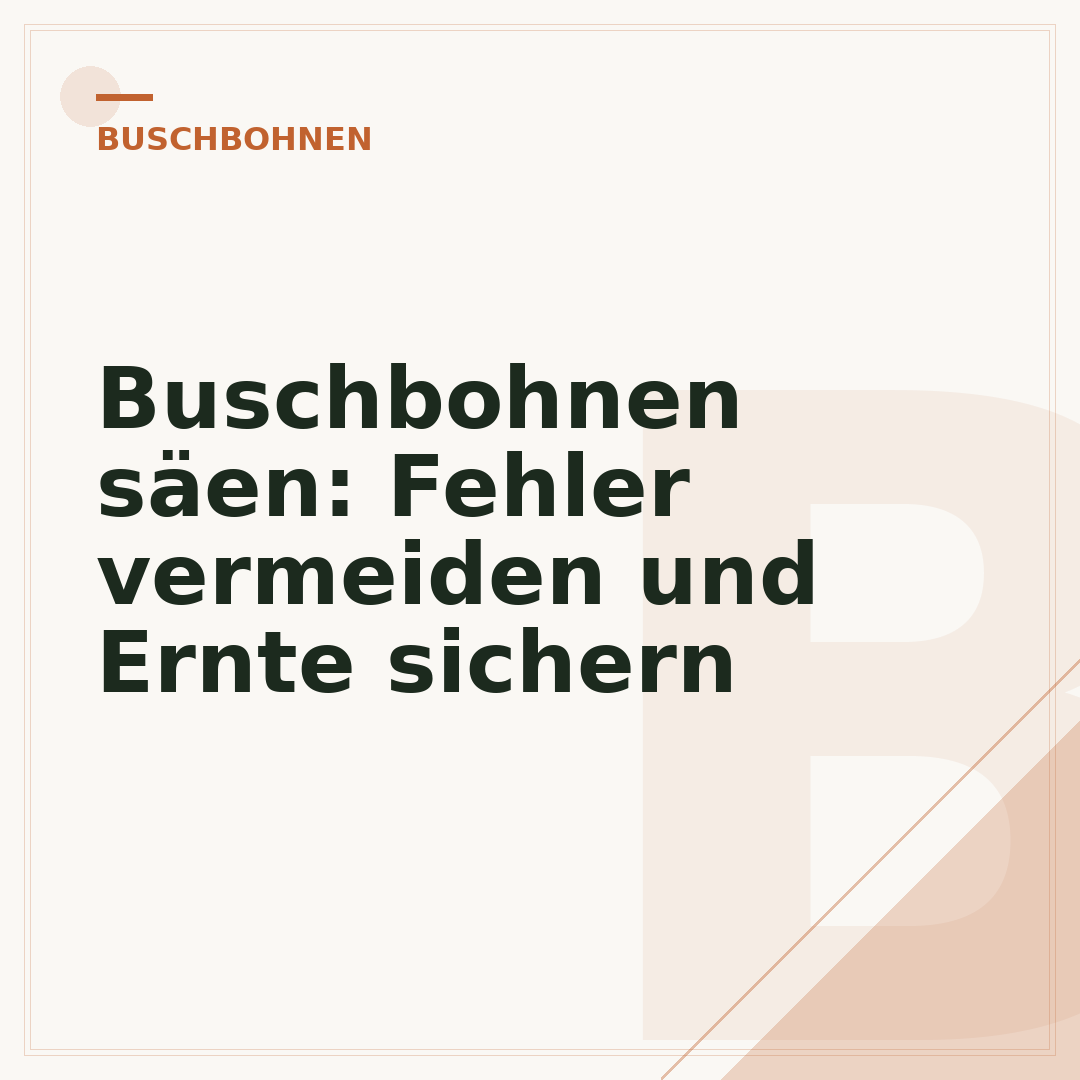 Buschbohnen säen: Fehler vermeiden und Ernte sichern