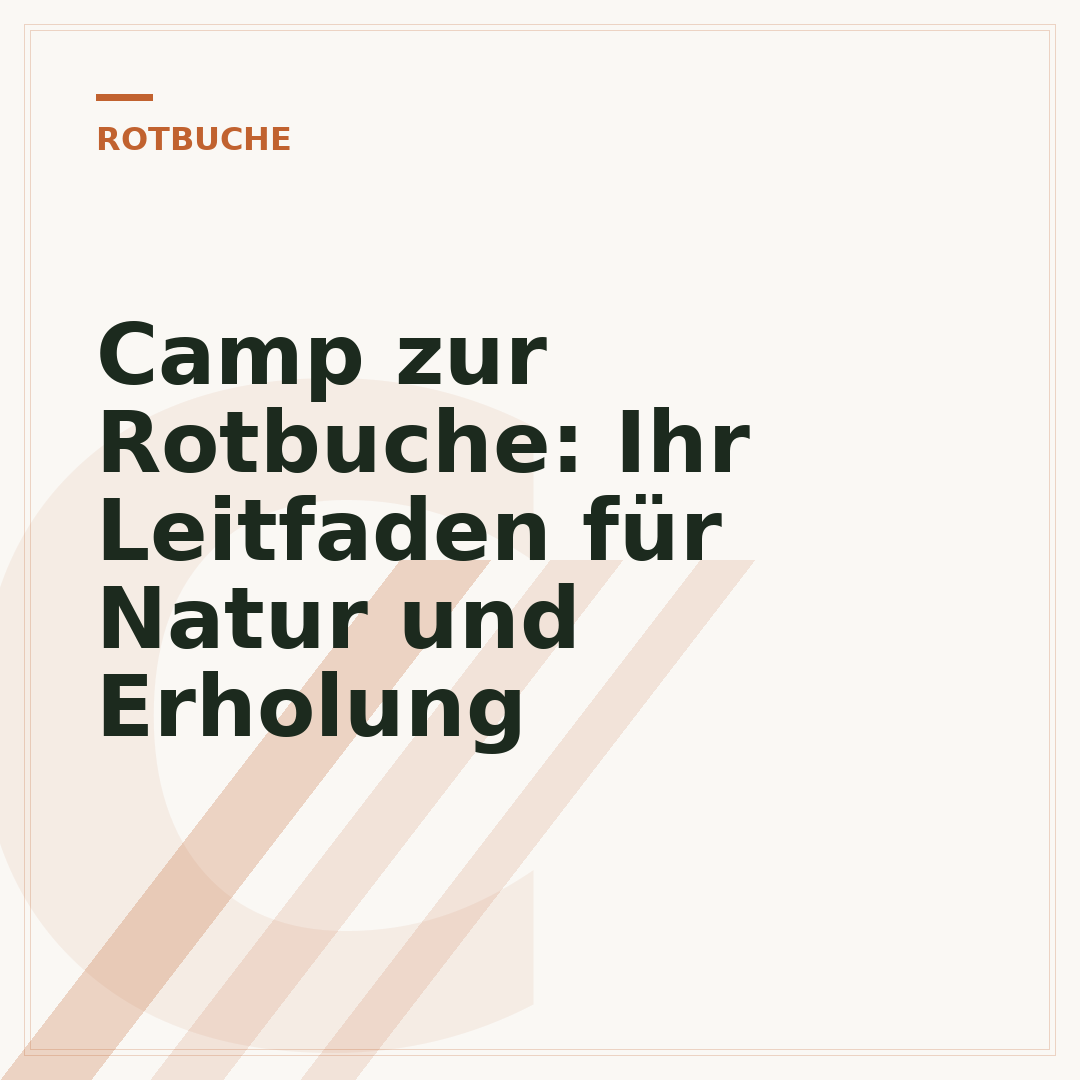 Camp zur Rotbuche: Ihr Leitfaden für Natur und Erholung