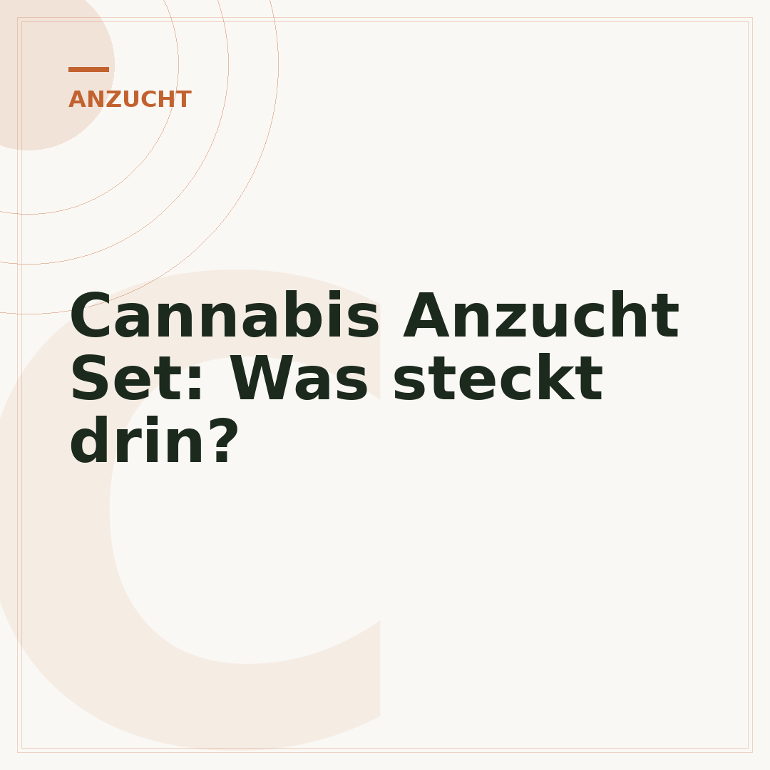 Cannabis Anzucht Set: Was steckt drin?