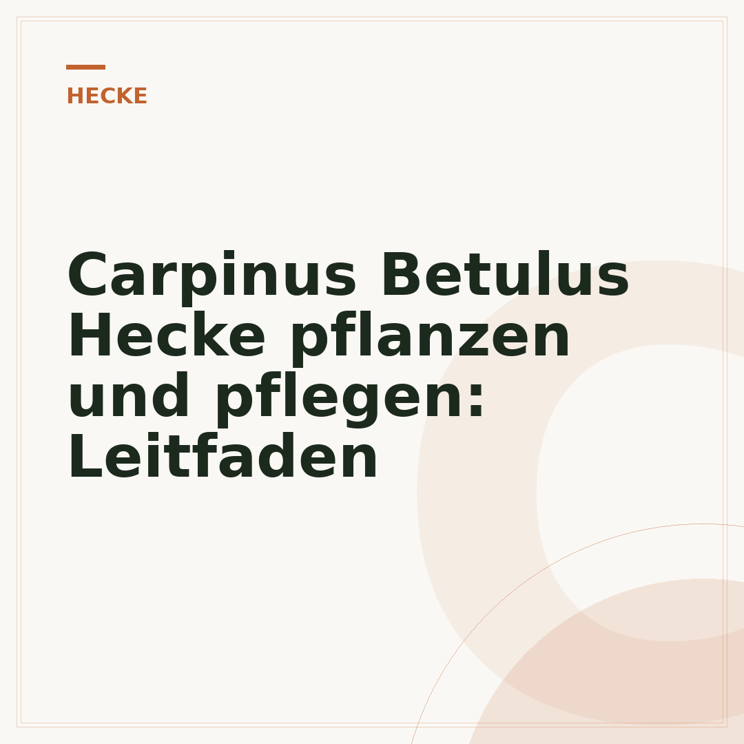 Carpinus Betulus Hecke pflanzen und pflegen: Leitfaden