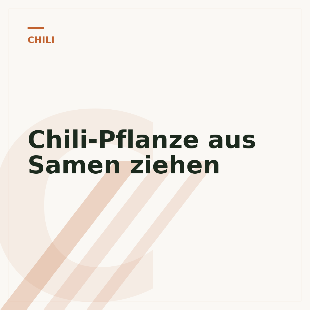Chili-Pflanze aus Samen ziehen