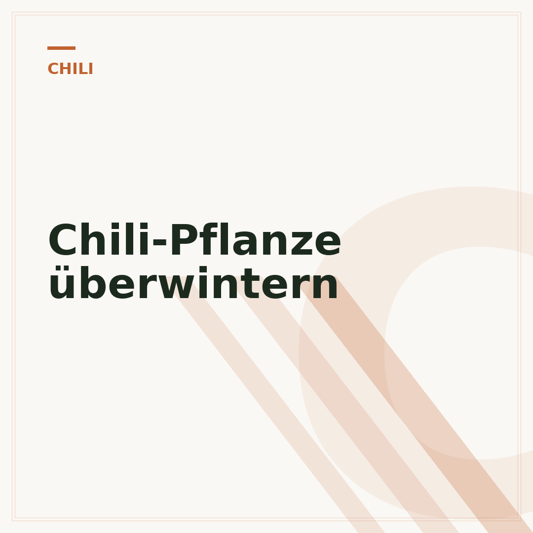 Chili-Pflanze überwintern