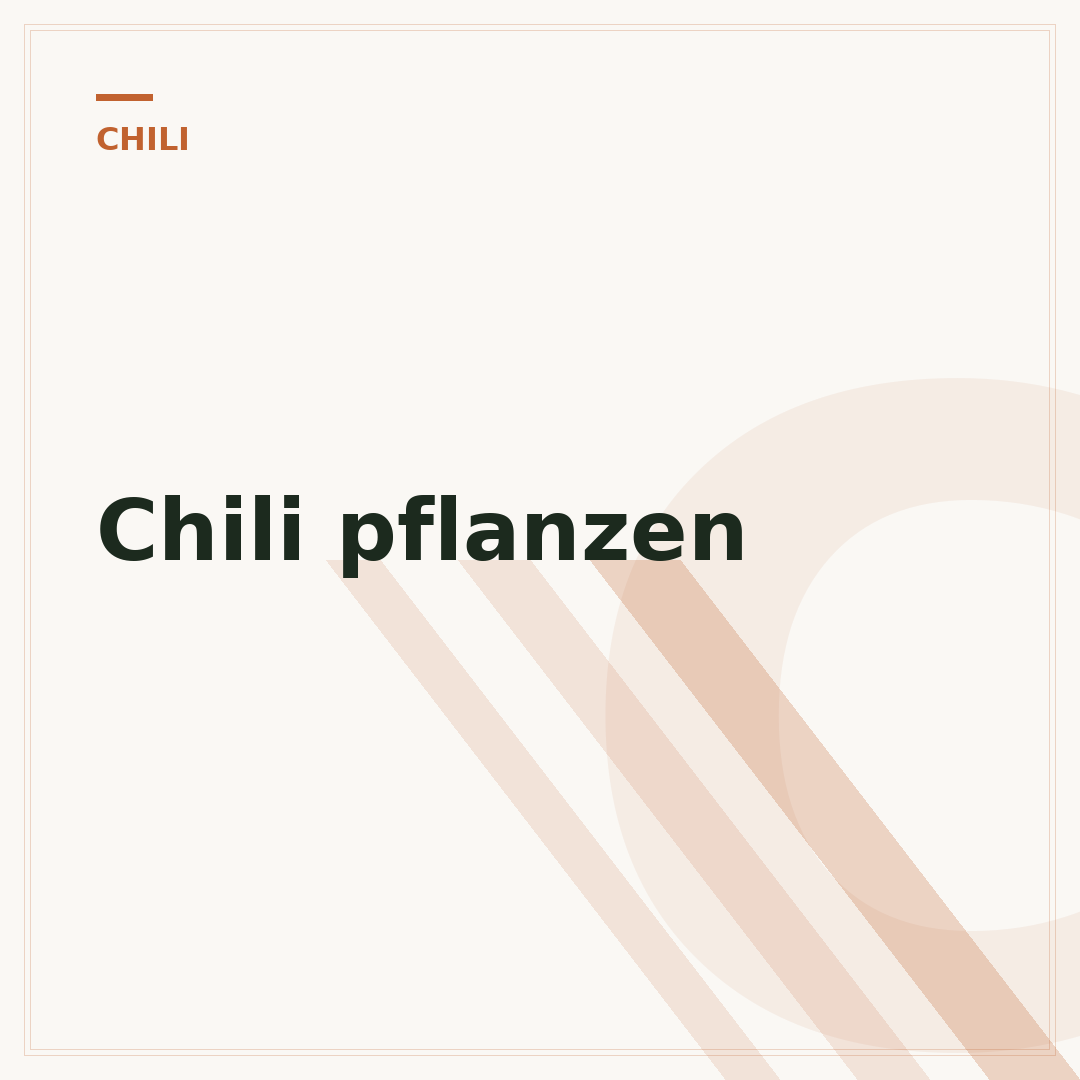 Chili pflanzen